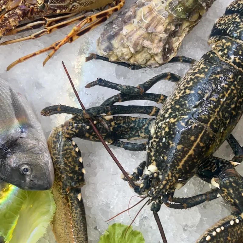 Fresh lobsters and oysters on ice